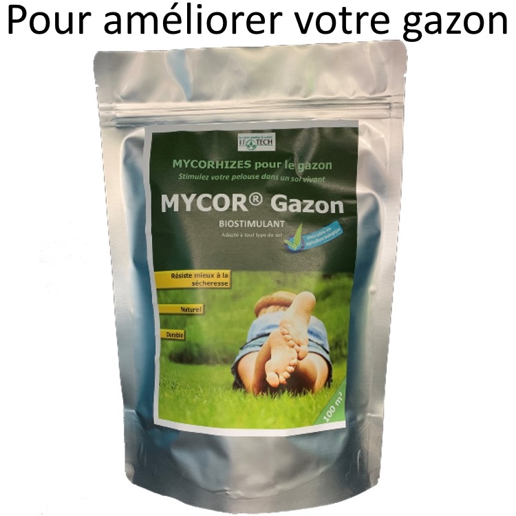 Poudre D'hormone D'enracinement | Pour Les Plantes Modérément Difficiles à Enraciner | Composé