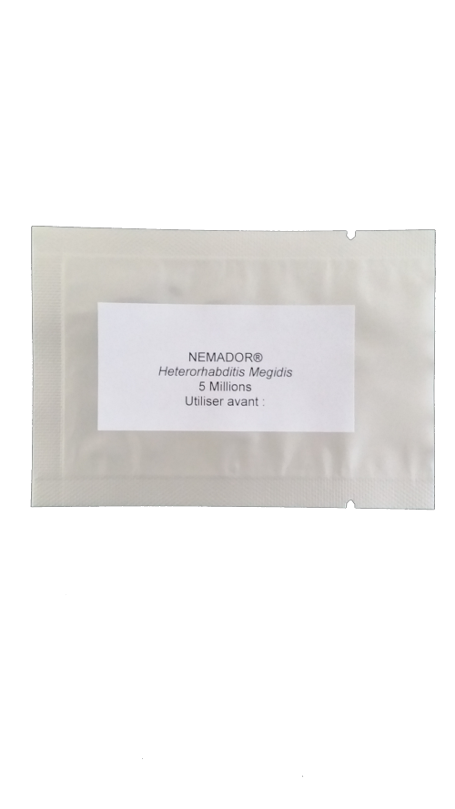 NEMADOR® HM 5 millions, nématodes entomopathogènes