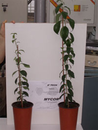 engrais bio